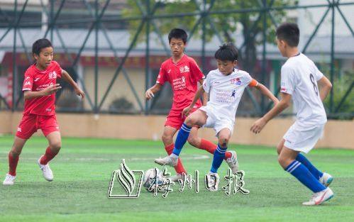 8038741903556303 1.jpg